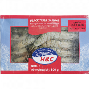 H&C TK Black Tiger Gambas
